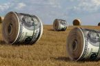 To, co czyni BlackRock, Vanguard i State Street tak niebezpiecznymi, to nie to, że są źli. To to, że są strukturalni. Nie muszą spiskować. Ich motywy są spójne. Ich narzędzia […]